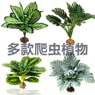 New Fish Tank Decoration Aquatic Grass Simulation Aquatic Grass Aquarium Landscape Package New Accessories Ornaments Reptile Plants