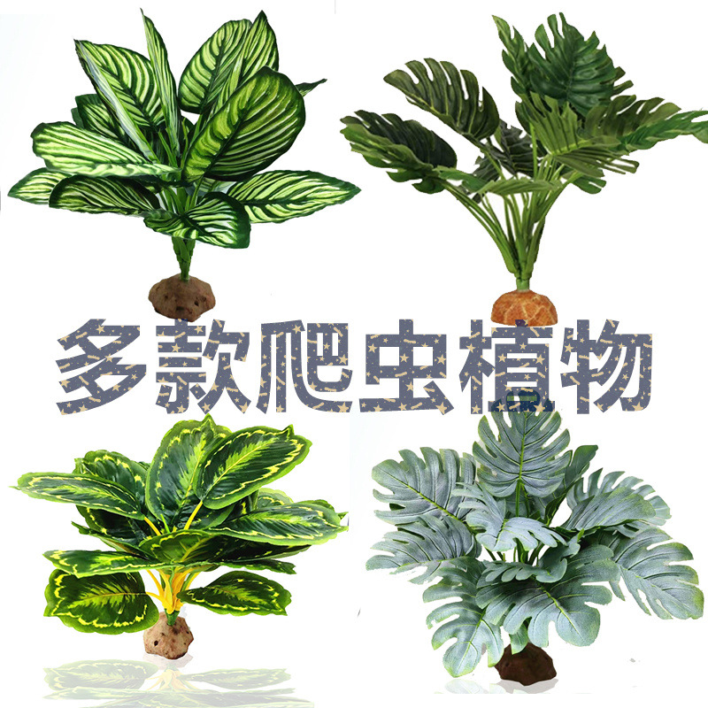 Nuevo producto Decoración de pecera Simulación de plantas acuáticas Paquete de paisajismo de acuario de plantas acuáticas Nuevos accesorios Decoración de plantas de reptiles