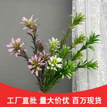 ����Gֲ���}�ݻ�c��Y���b�·�����ű����Ƶ��̈������廨�~��