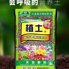 ֲ��ͨ���͠I�B���B���N����������̿���M����̿��Ҭ���Nֲ��