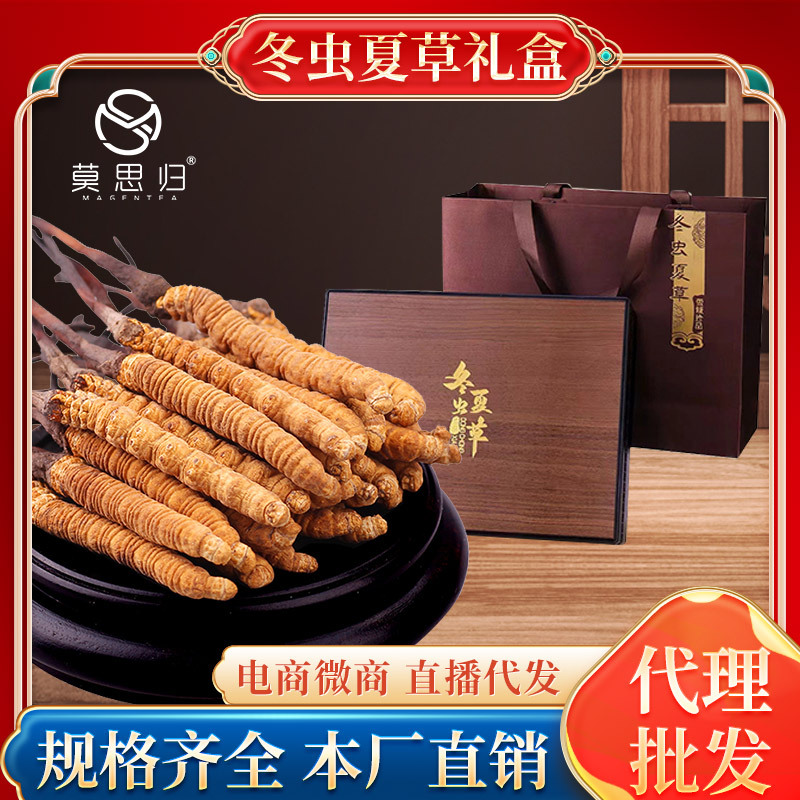 冬虫夏草当季原厂原包虫草花清水货批发干货零售礼盒装