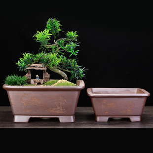 ������d��ɰ����ŵ��մ��辰�����҃������ķ��R���Ϙ��Ř����l