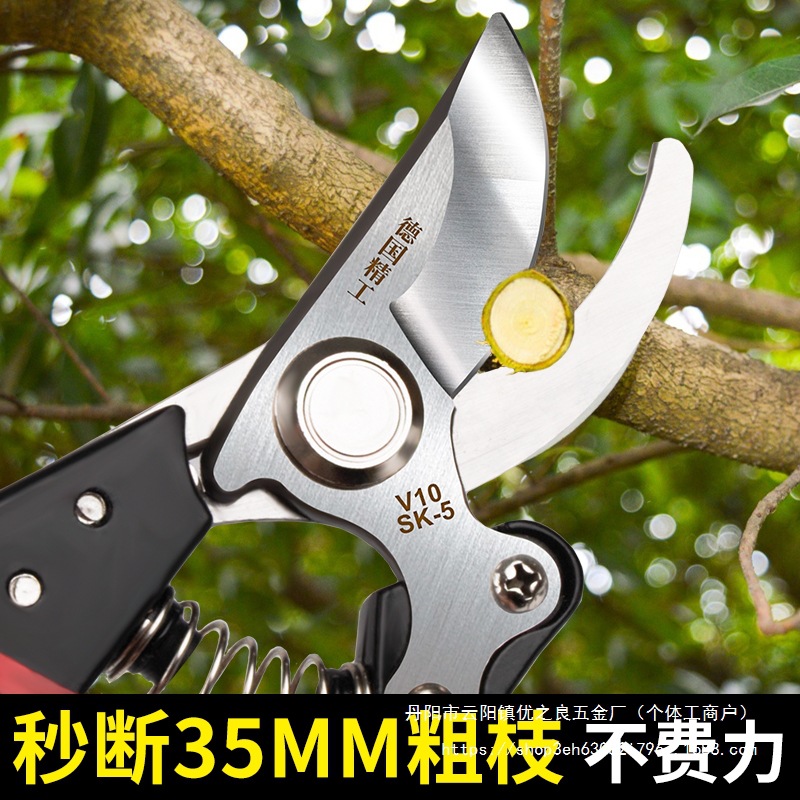修剪树枝剪刀花卉修枝剪果树专用园艺剪枝花剪园林花艺剪树神批发