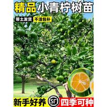 ����С���������ļ��ɷN��ˮ���ʘ�ͥԺ���Ե��Թ���������ֺ��B