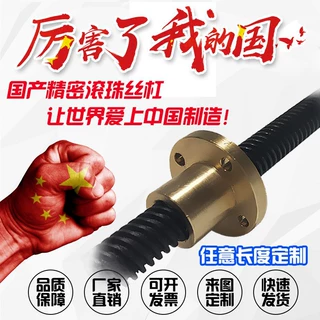 LTAR/LTBR/LTCR8 10 12 14 16 20 22 25 30 32 36 40梯形丝杆丝杠