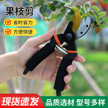 强力加厚SK5钢修枝剪园艺苗圃果枝省力剪粗枝园林果树剪批发