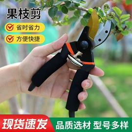 手锯、木工锯;修枝剪;耙子