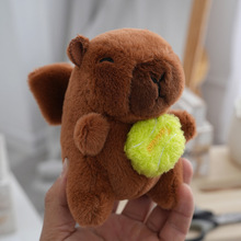 ��������\�ӆT��Ƥ����ˮ�������ˮ��������ë�q���耳׿۹���