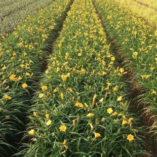 ���ش������l���G���ݽ��������ݸ�ϵ���ɻ��ʸ߃��|