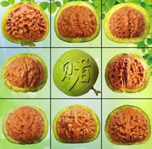 文玩核桃赌青皮老树狮子头虎头麒麟纹官帽四座楼把玩收藏核桃批发