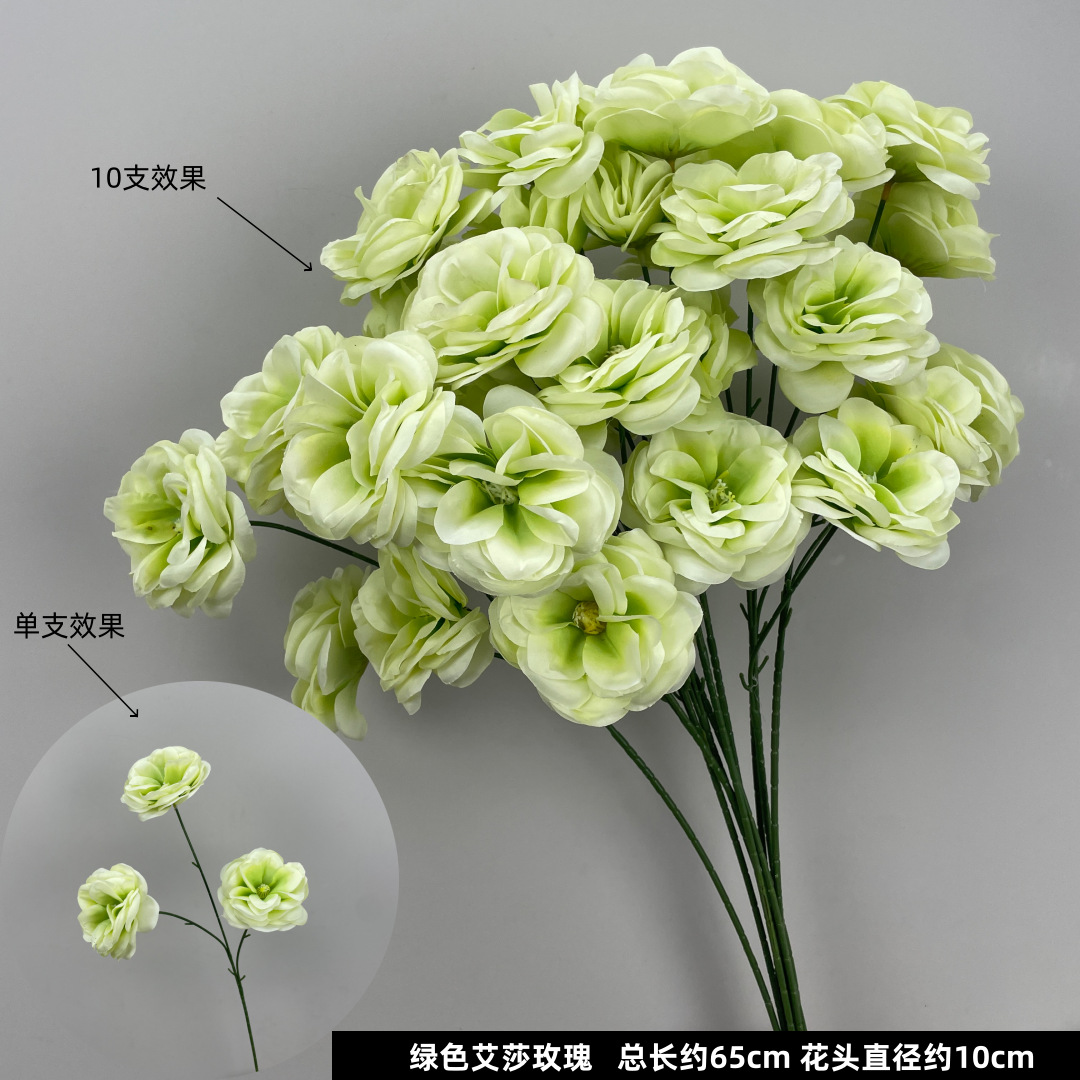 녹색 엘사 로즈