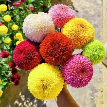 ƹҾջNױļ_Сr׷N҃⻨ԻN