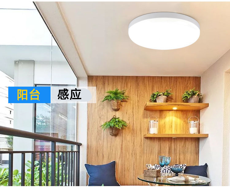 阳台感应.jpg 拷贝