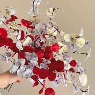 ��������~�}�Q�Ҿ��b��~���컨���R�d�羳����ֲ���＾�ȼ����~