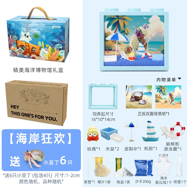 Coastal Carnival [light luxury gift box] - 6 bean sprouts included (4 included)