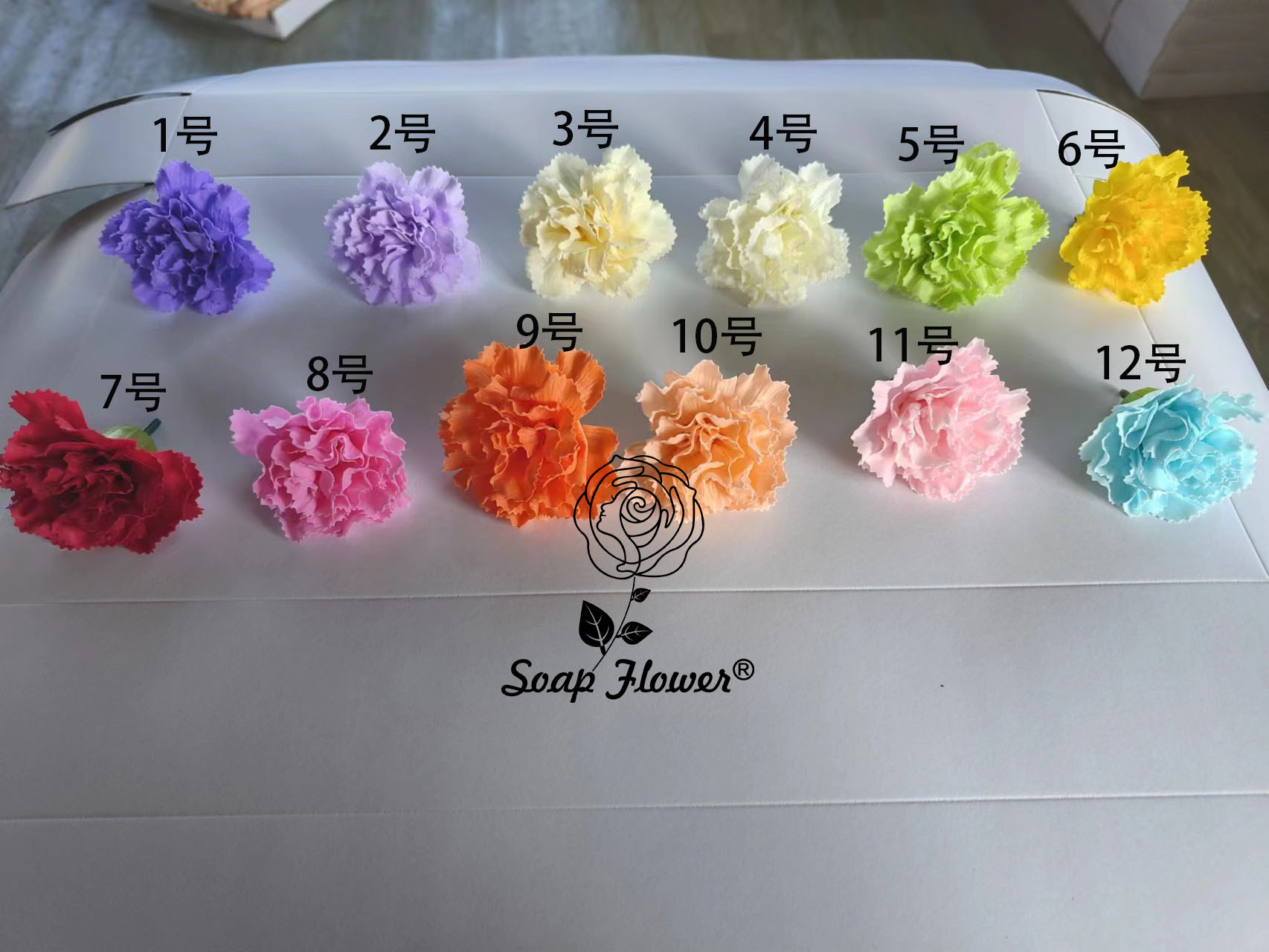 新款康乃馨色卡