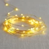 Glowing light string