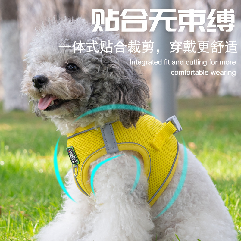 ベスト型犬用リード 小型犬 ビション テディ ポメラニアン 子犬 子犬 ハーネス 犬用リード 犬用チェーン|undefined