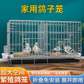 鸽子笼家用养殖笼鸽子配对笼大号带隔断繁殖养殖鸽笼鸟笼繁殖箱