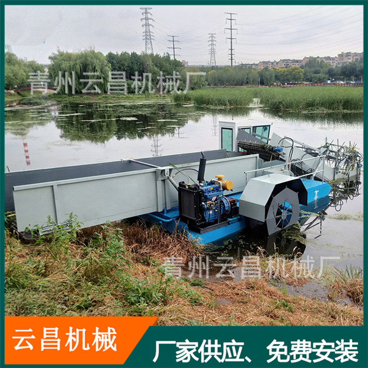 芦苇水草收割割草船 河道水面清草保洁船 水浒苔水草收割打捞机械