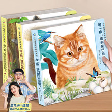 С����������Ȼ�|�������׃�����L��С�ñ���1�q�댚���냺��0-2