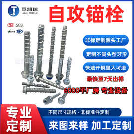 六角法兰混凝土锚栓 自攻水泥锚栓 自切底锚固螺栓M6M8M10M12M14