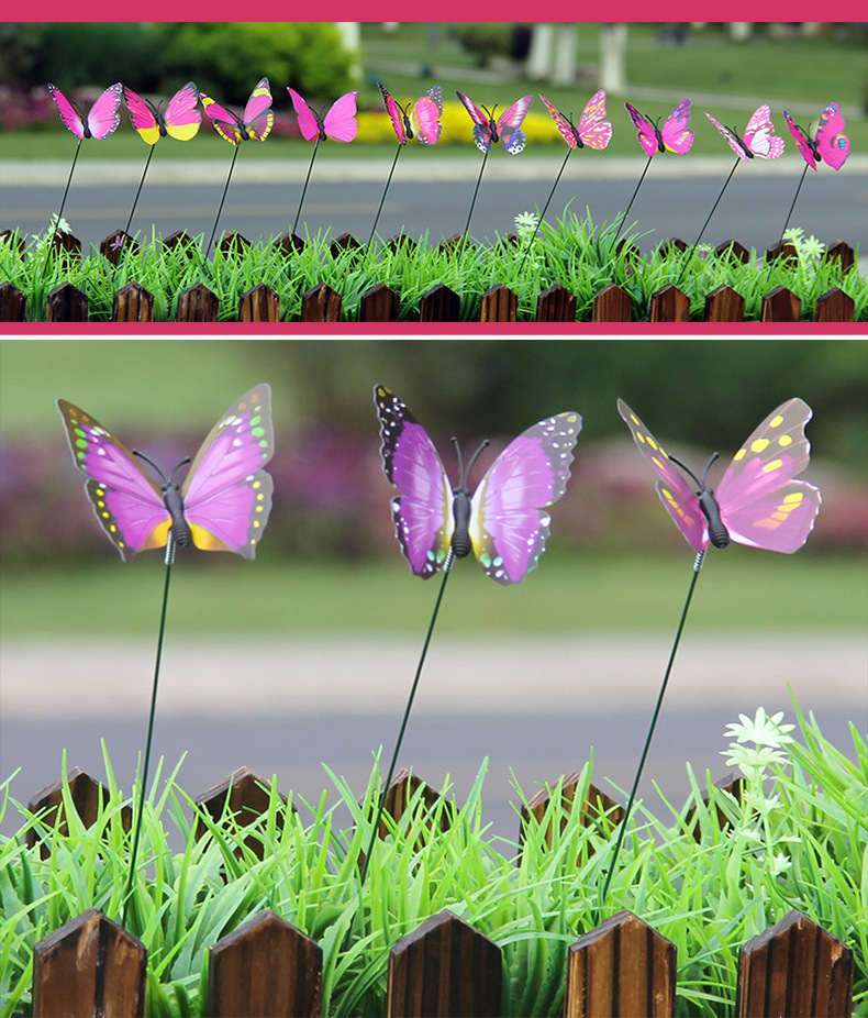 插杆蝴蝶_17.jpg