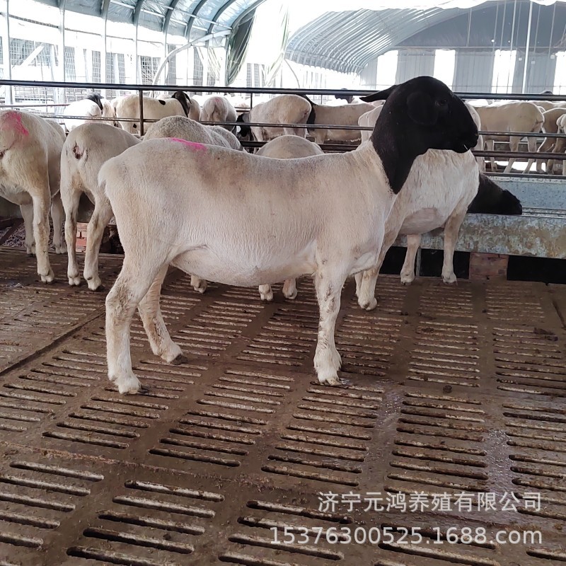 B15BE5E63248CED94EB6BAFC4AABE2