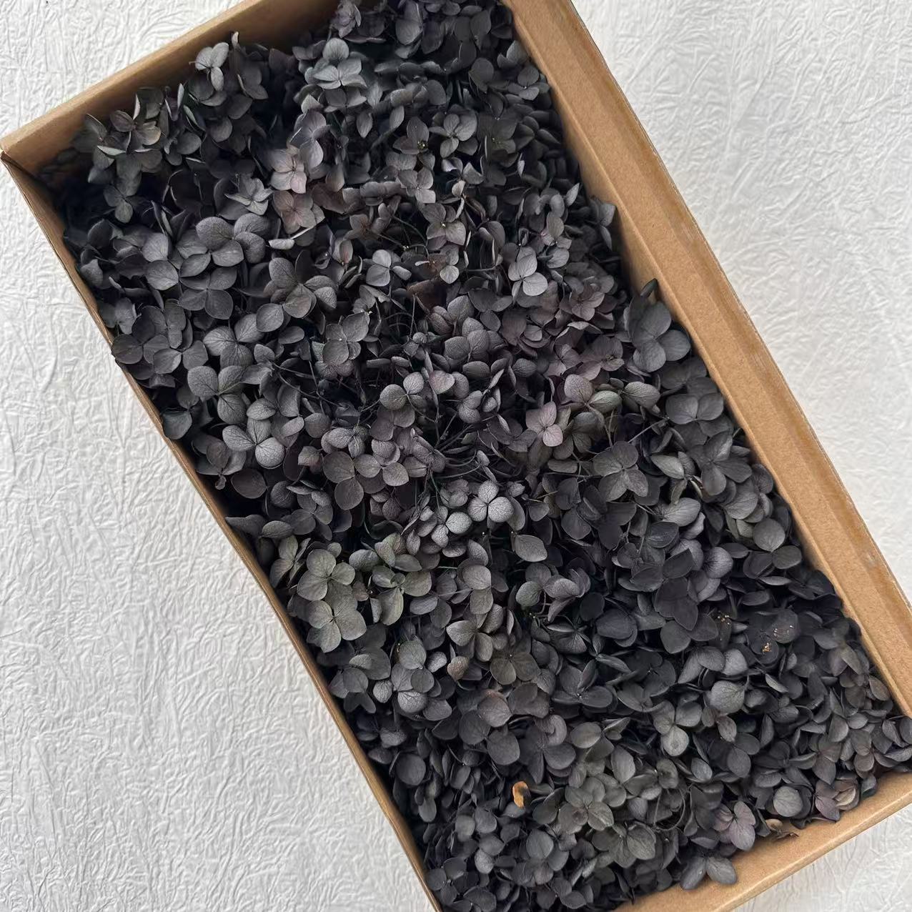 Noir absorbant la couleur / 5G en boîte