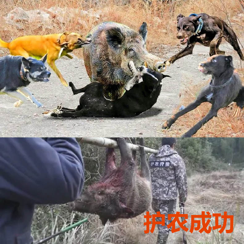 4G定位器-新款-2024详情页-抖店 - 中文-10