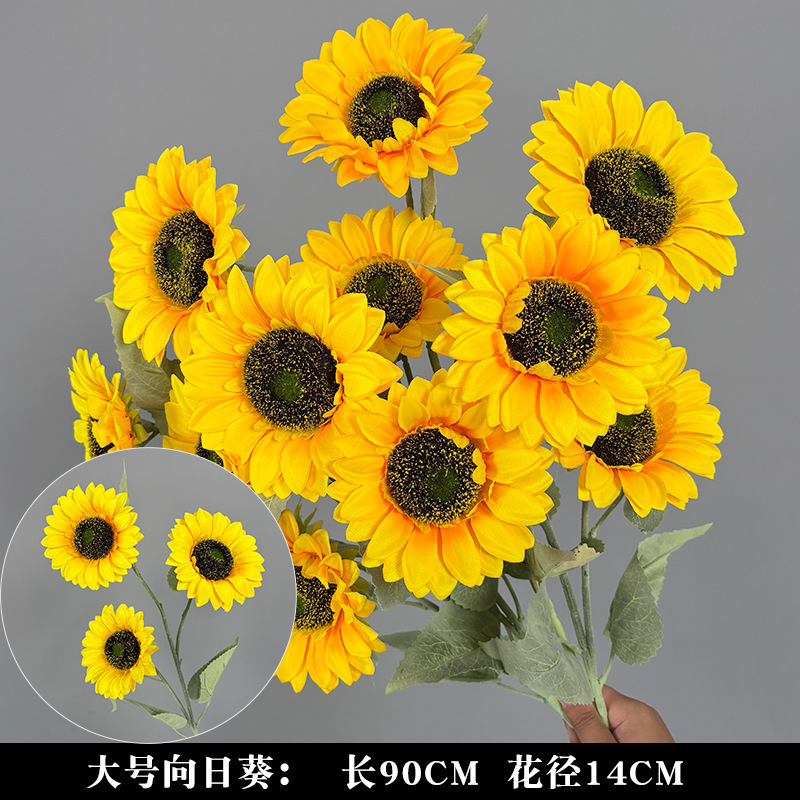 큰 꽃 머리 해바라기