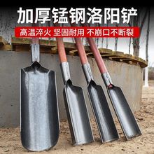 ✅洛阳铲挖土打洞挖硬土加厚锰钢淬火取土器种树挖坑打桩挖山