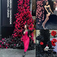 ���˹��tõ�廨�ٲ��W�t����������˹��򿨻�Ӳ����b[������