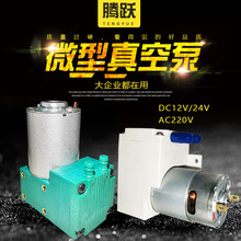微型真空泵12V吸氣泵24伏隔膜泵拆屏機負壓泵抽氣泵美容儀器氣泵