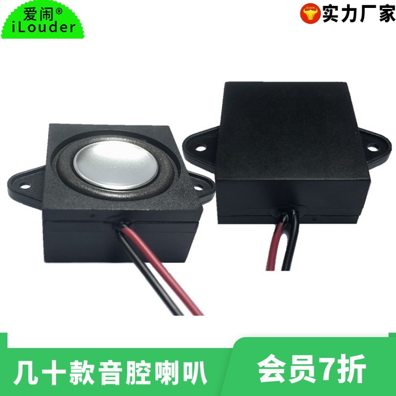 Various Sizes 28*31 with Electronic Wire and Small Speaker, 2831 Cavity Speaker, Sound Cavity Speaker Various Sizes 28*31 with Electronic Wire and Small Speaker, 2831 Cavity Speaker, Sound Cavity Speaker