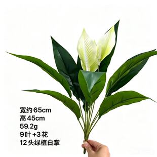 ����Gֲ�������� �҃��b�ֲ�� һ���L혷��滨 9�~3�� �ҾӔ[��