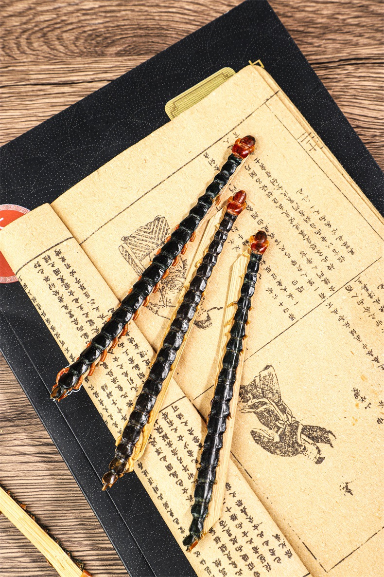 Dried Centipede Wu Gong 500g Whole Dried Scolopendra Subspinipes Mutilans TCM Herbal Material in use