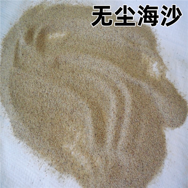 水洗海沙珍珠沙可塑型圆粒沙儿童娱乐沙沙疚沙人造沙滩沙圆粒海沙