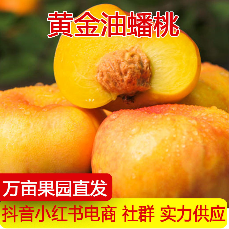 Directly Shipped from the Place of Origin, Shandong Golden Oil Flat Peaches, Fresh Seasonal Fruit for Pregnant Women, Crispy Flat Rainbow Oil Flat Peaches, One-Piece Drop Shipping