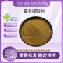 量大大叶藿香土藿香提取物