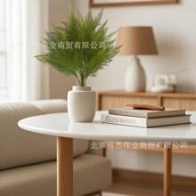 �羳��Ʒ����Gֲ����ɼ�m���ɭϵ�Ҿ��҃ȾƵ��Y��c�����b�