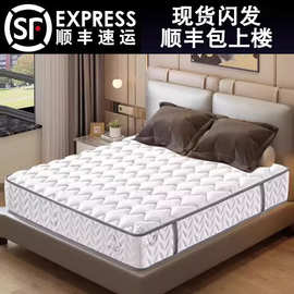 席梦思椰棕床垫香港高档榻榻米租房家用睡垫学生宿舍1.8M乳胶软垫