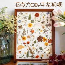 亚克力相框玻璃画框儿童手工diy干花展示框幼儿园手绘涂鸦透明框