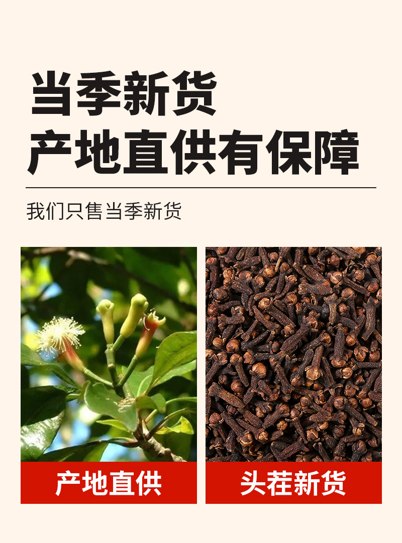 Clove Buds (Syzygium aromaticum) — Dried Whole Ding Xiang Spice for Braising & Herbal Blends quality and texture