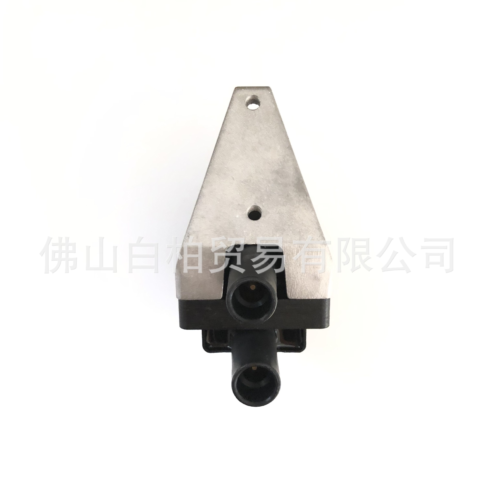 In Stock: 0001586803, A0001500480, 0001500580 Car Ignition Coils Suitable for Mercedes-Benz