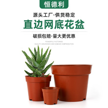 恒德利直边网底花盆园艺绿植盆圆育苗多肉小花盆批发基地塑料花盆