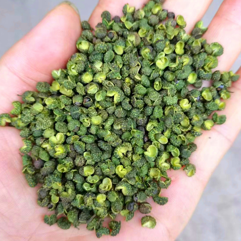 微信图片_20240610101620_副本