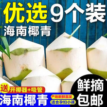 ����ȥƤҬ�����rҬ��9���b�����ЋDˮ��Ҭ���ȥƤ��ˮҬ�Ӱ��]