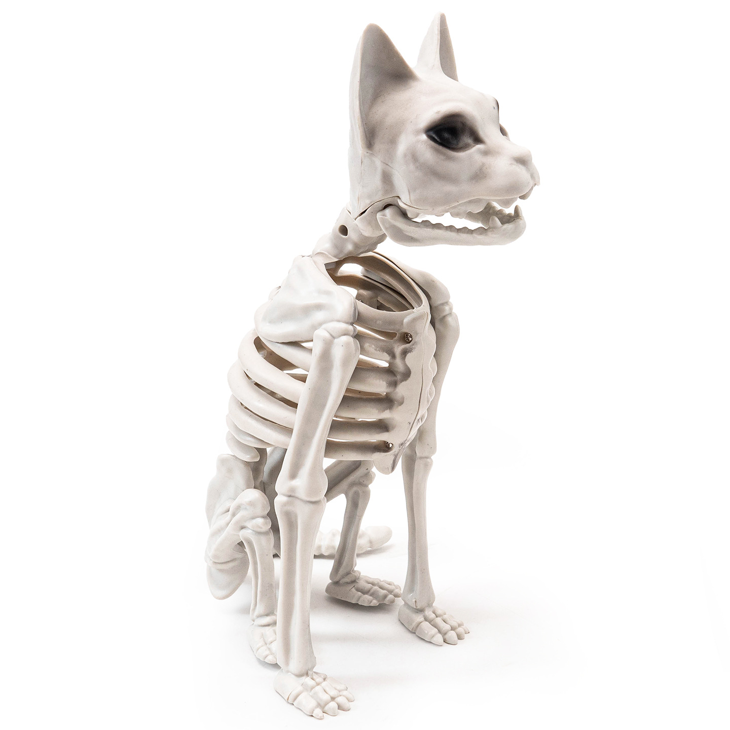 Halloween transfronterizo oscuro horror esqueleto animal accesorios de decoración de calavera gato sentado nuevo diseño casa embrujada