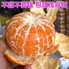 廣西武鳴茂谷柑當季水果桔子新鮮橘子非沃柑汁水充足包甜貢柑現摘